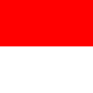 Indonesia eSIM